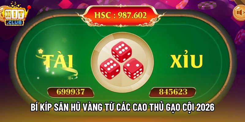 Bí kíp săn hũ vàng từ các cao thủ gạo cội 2026